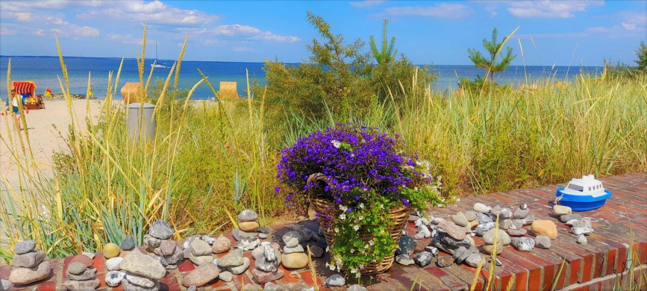 Skipper Appartements Niendorf  Εξωτερικό φωτογραφία